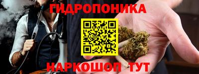 spice Гусев