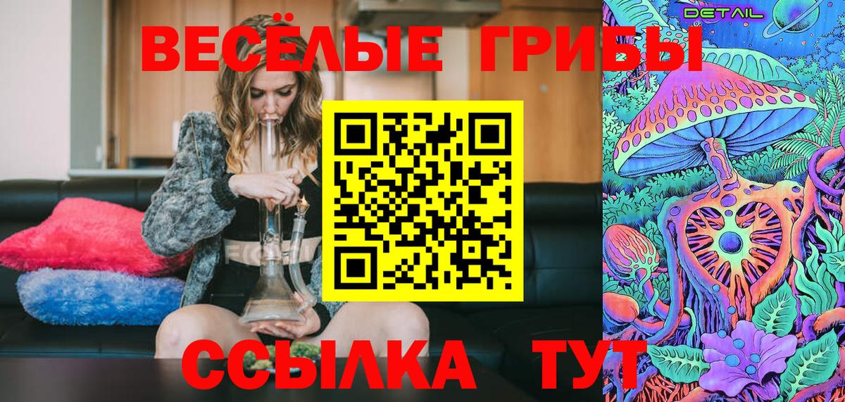 Моздок  купить  сайты  Вход с VPN  Псилоцибиновые грибы MAGIC MUSHROOMS 